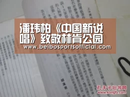 潘玮柏《中国新说唱》致敬林肯公园主唱 机智救场终结尴尬气氛‘贝博体育’(图2) 贝博体育官网