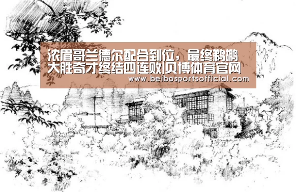 浓眉哥兰德尔配合到位,最终鹈鹕大胜奇才终结四连败|贝博体育官网(图1) 贝博体育