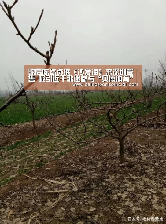 贝博体育官方网站