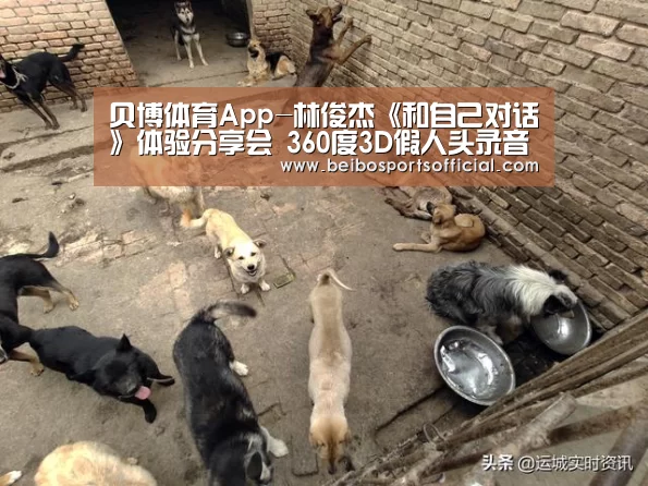 贝博体育官方网站